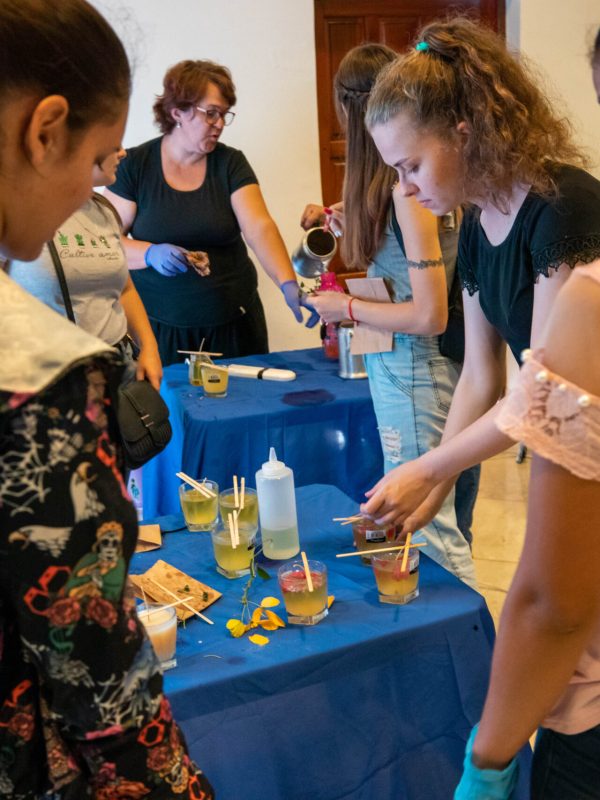Misiones Diseña, Punto MiDi, San Vicente